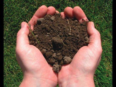 Как правильно разрыхлить почву-5