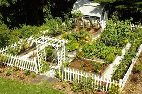 Каким образом можно украсить огород