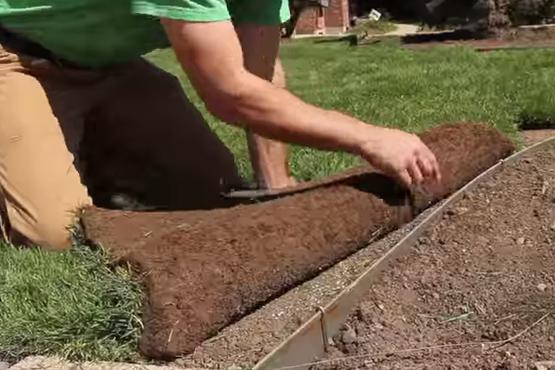 Как уложить рулонный газон на даче своими руками