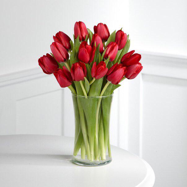 Дарвиновы гибриды тюльпанов (Darwin Hybrid Tulips)