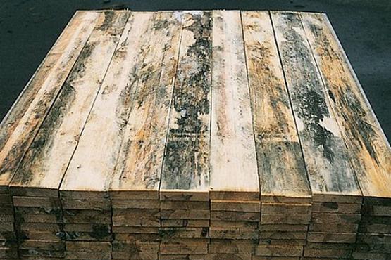 Как можно остановить и ускорить гниение древесины