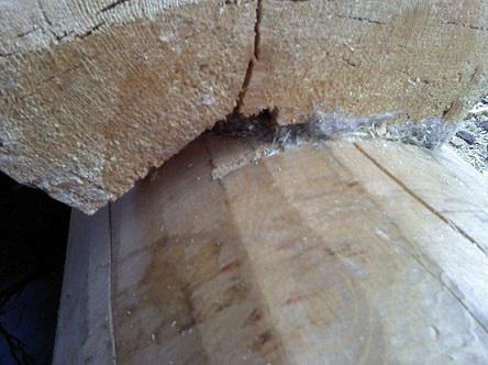 Основные виды защиты древесины-2
