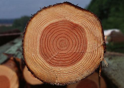 Как определить влажность древесины-5