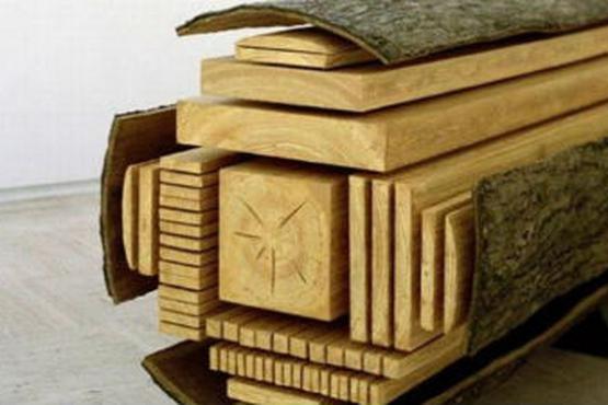 Виды древесины и характеристики пиломатериалов