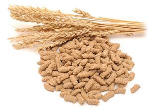 Отруби пшеничные: польза и вред, как принимать-1