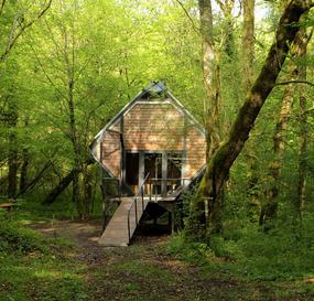 Уютный лесной домик