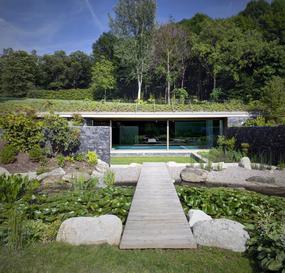 Современный бане-бассейн с травяной крышей